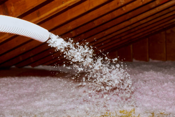 Best Eco-Friendly Insulation in Columbus Af, MS