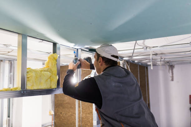 Best Cellulose Insulation in Columbus Af, MS