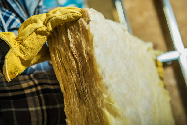 Best Blown-in Insulation in Columbus Af, MS